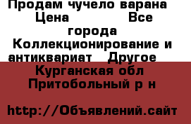 Продам чучело варана. › Цена ­ 15 000 - Все города Коллекционирование и антиквариат » Другое   . Курганская обл.,Притобольный р-н